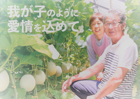 �����꡼�󥷥�å� (23)