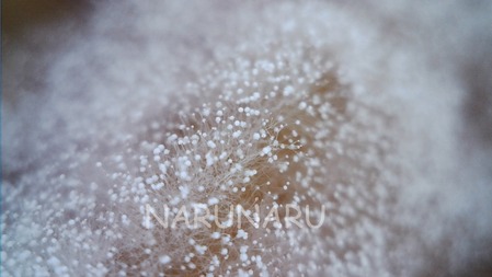 WIN_20250102_15_06_13_Pro