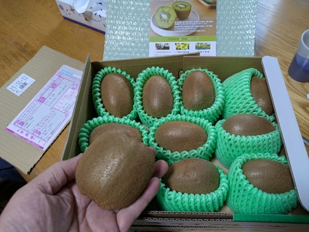 PXL_20241219_064843607