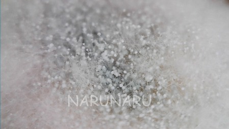 WIN_20250102_15_08_24_Pro