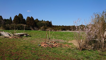 DSC_0967