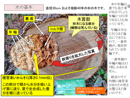 ¥¹¥¯¥ê¡¼¥ó¥·¥ç¥Ã¥È 2025-05-11 141208