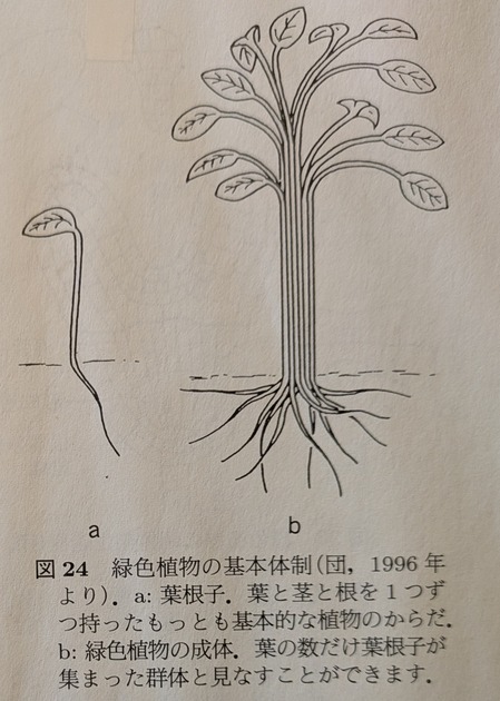 galleryContent557275