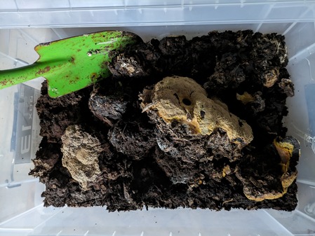 PXL_20240501_080416047