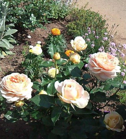 �����Х�2