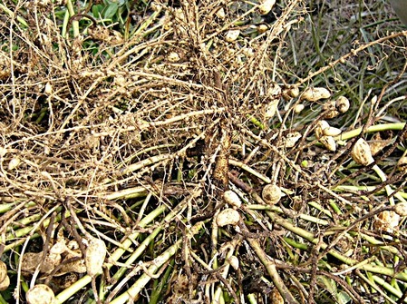 P1020371