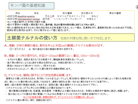 ¥¹¥¯¥ê¡¼¥ó¥·¥ç¥Ã¥È 2025-05-11 141123