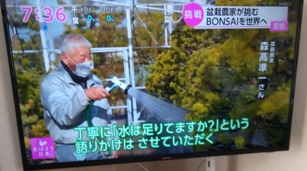 STORYPIC_00002203