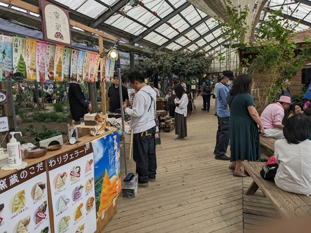 PXL_20240429_055915644