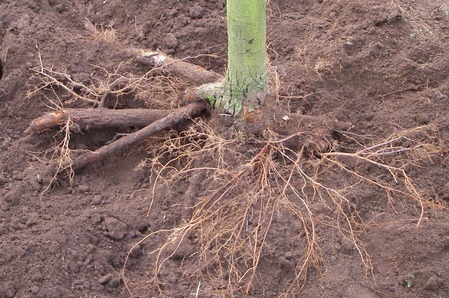 ��ȯ���̿�001