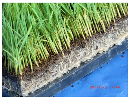 ¥¹¥¯¥ê¡¼¥ó¥·¥ç¥Ã¥È (475)