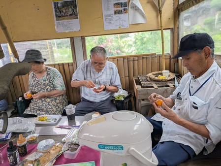 PXL_20250615_014251230