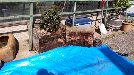 HORIZON_0001_BURST20220406141333340_COVER