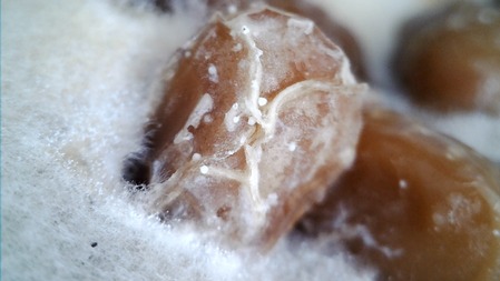 WIN_20250102_15_03_41_Pro