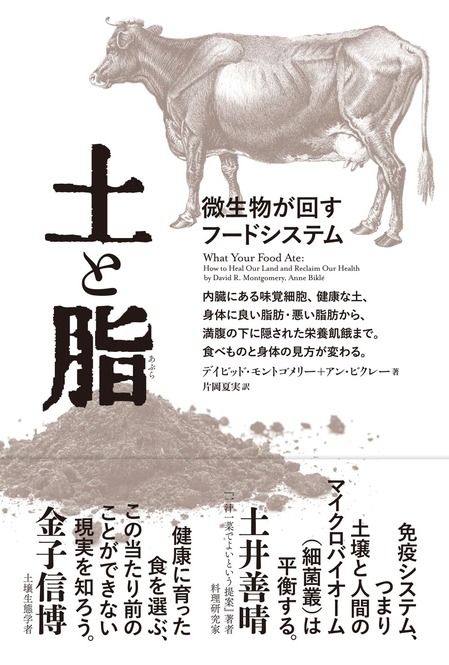 71h8fo2EHKL._SL1481_