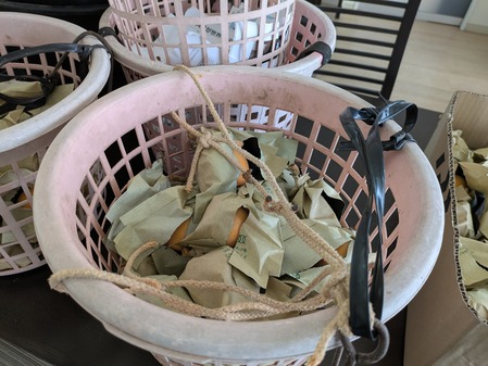 PXL_20250612_043141429