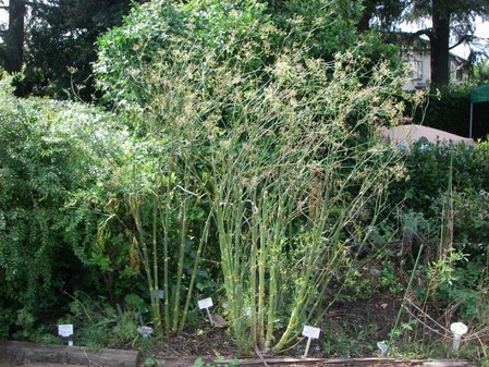 ijh001+2