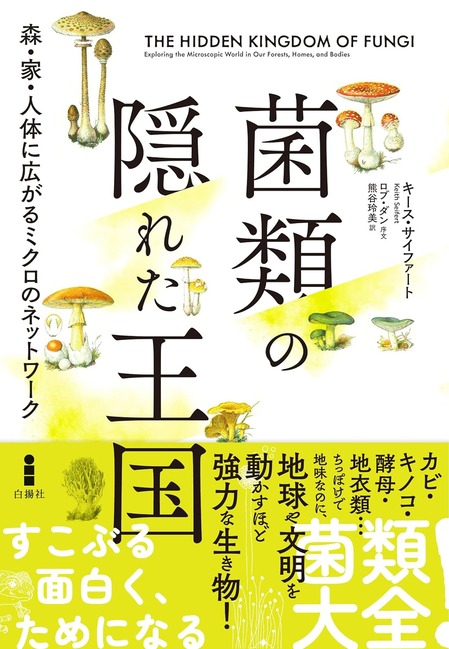 81RLUnt8vVL._SL1500_