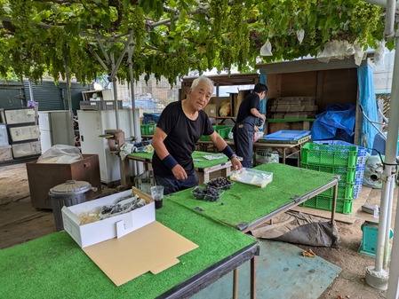 PXL_20240813_011905986.MP