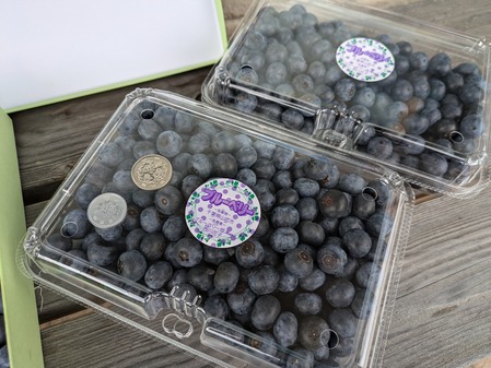 PXL_20240714_063518041