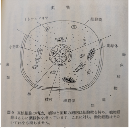 ¥¹¥¯¥ê¡¼¥ó¥·¥ç¥Ã¥È 2025-03-09 200556