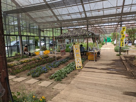 PXL_20240429_013420457