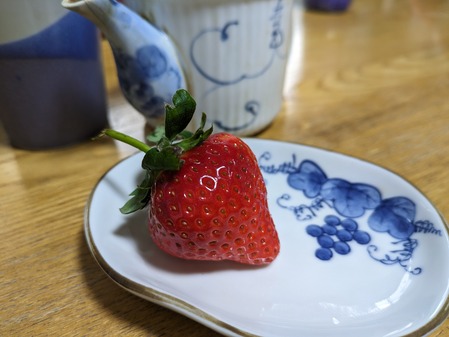 PXL_20240201_224709105