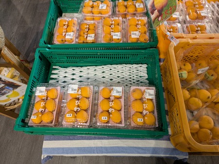 PXL_20250612_060521540.MP