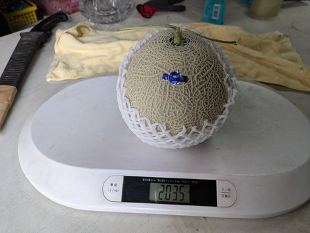 PXL_20240629_204740846