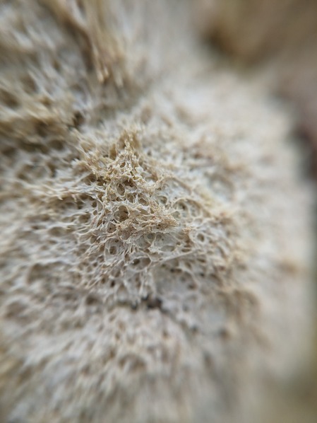 PXL_20240429_022533757