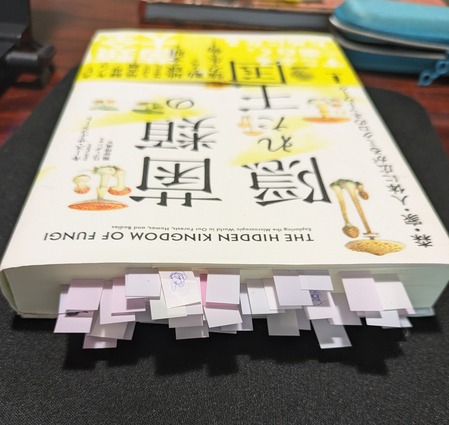 PXL_20240901_052159034