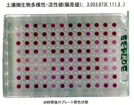 ¥Ê¥ë¥Ê¥ë¥Ü¥«¥·³èÀÃÍ