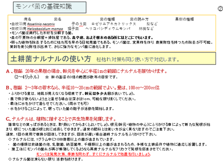 �����꡼�󥷥�å� 2025-03-11 174201