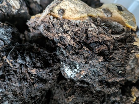 PXL_20240501_080423424