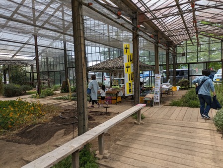 PXL_20240429_013500560