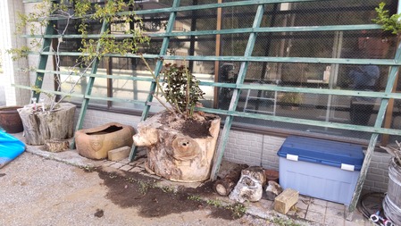 HORIZON_0001_BURST20220407072253265_COVER