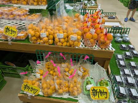 PXL_20250612_075951466.MP