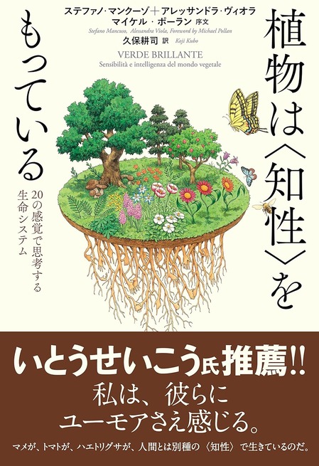 91-lixFVHbL._SL1500_