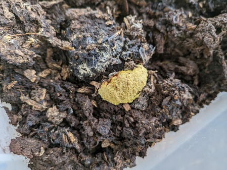 PXL_20240429_013446745