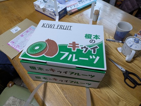 PXL_20241219_064344709