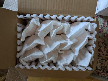 PXL_20250613_014809470