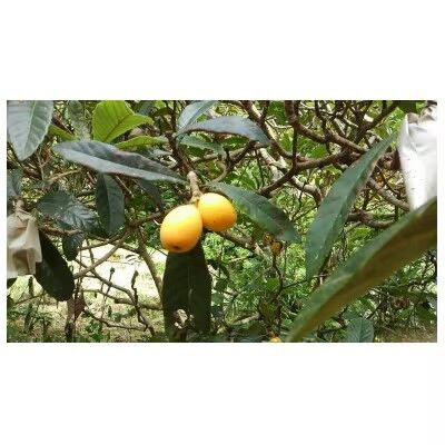 504953818736753027803_n