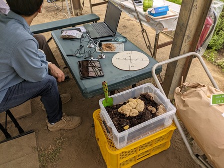 PXL_20240429_013441333