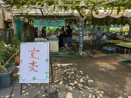 PXL_20240824_010645161