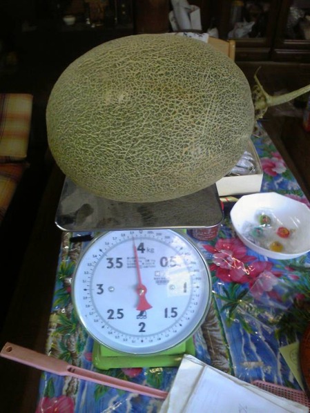 meron0714001+1