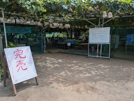 PXL_20240811_040058565