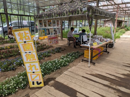 PXL_20240429_013428657