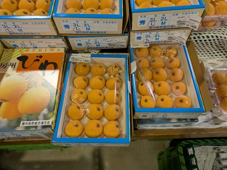 PXL_20250612_080008287