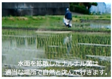 ¥¹¥¯¥ê¡¼¥ó¥·¥ç¥Ã¥È (473)