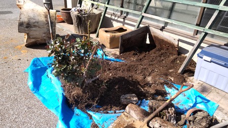 HORIZON_0001_BURST20220406144558078_COVER